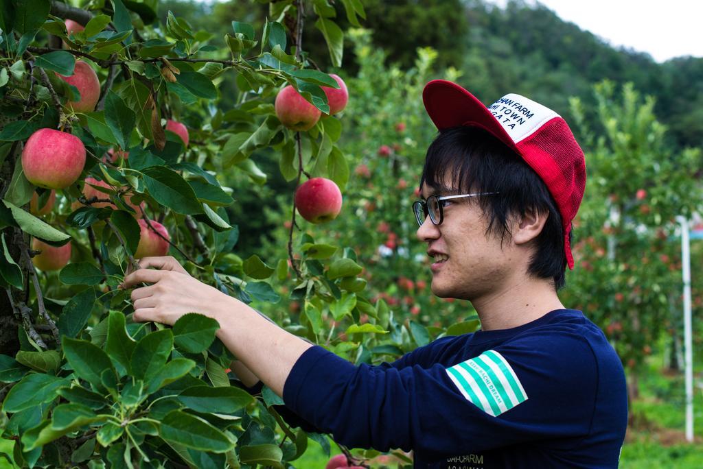 Daichan Farm Guest House Asahi (Yamagata) Exterior foto
